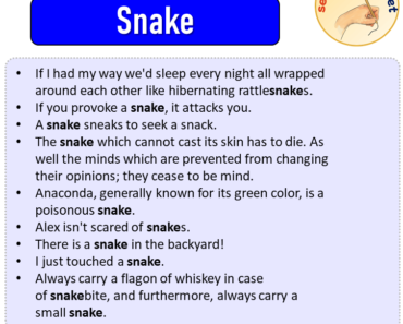 Sentences with Snake, Sentences about Snake in English