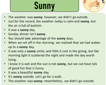 Sentences with Sunny, Sentences about Sunny in English