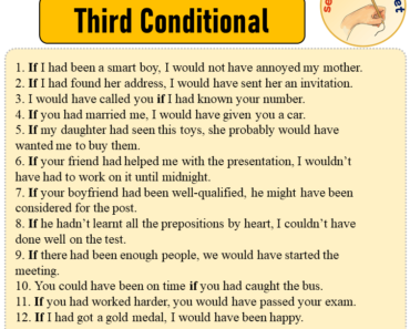 Sentences with Third Conditional, Sentences about Third Conditional in English