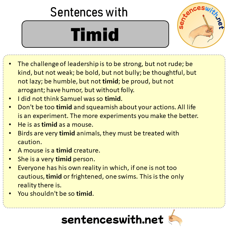 Sentences with Timid, Sentences about Timid in English