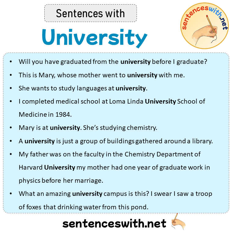 Sentences with University, Sentences about University in English