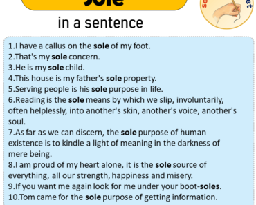 Sole in a Sentence, Sentences of Sole in English