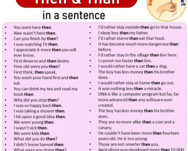 Then and Than in a Sentence, Sentences of Then and Than in English