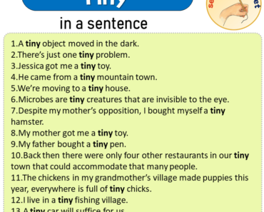 Tiny in a Sentence, Sentences of Tiny in English