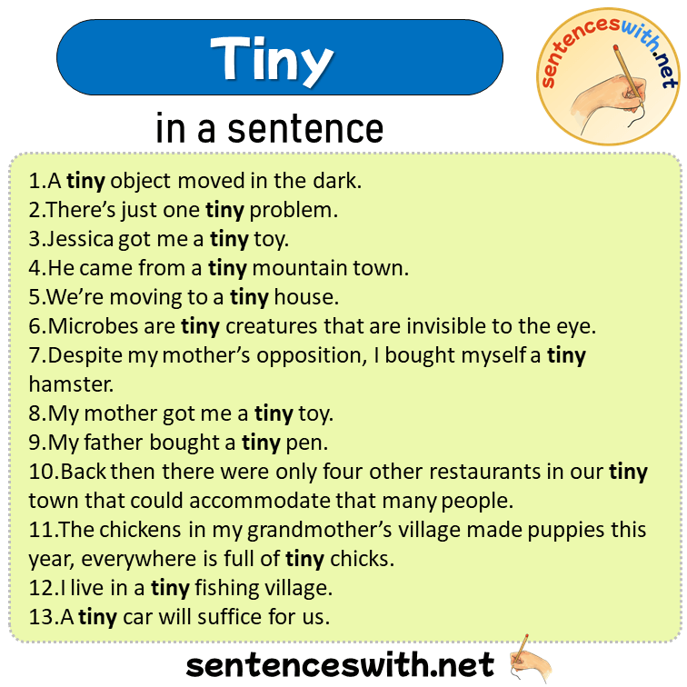 Tiny in a Sentence, Sentences of Tiny in English