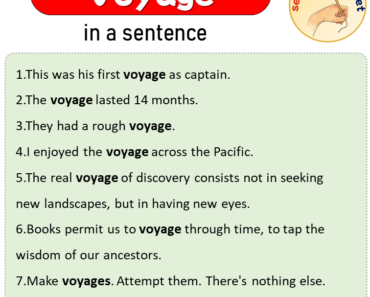 voyage word use in sentences