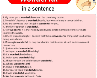 Wonderful in a Sentence, Sentences of Wonderful in English
