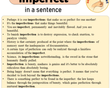 imperfect in a Sentence, Sentences of imperfect in English