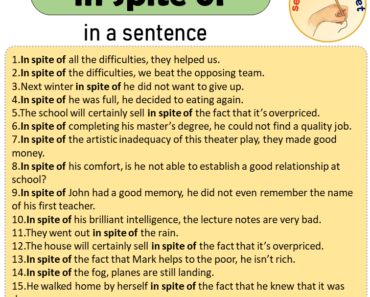 in spite of in a Sentence, Sentences of in spite of