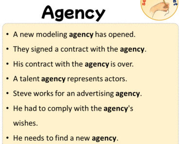 Sentences with Agency, Sentences about Agency in English