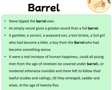 Sentences with Barrel, Sentences about Barrel