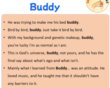 Sentences with Buddy, Sentences about Buddy in English