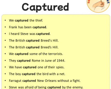 Sentences with Captured, Sentences about Captured