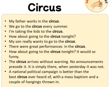 Sentences with Circus, Sentences about Circus