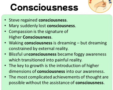Sentences with Consciousness, Sentences about Consciousness