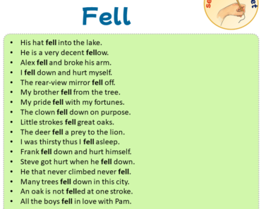 Sentences with Fell, Sentences about Fell
