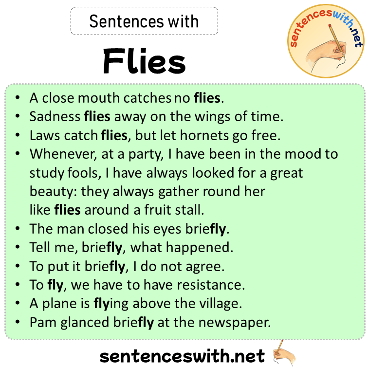 Sentences with Flies, Sentences about Flies