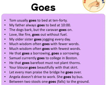 Sentences with Goes, Sentences about Goes