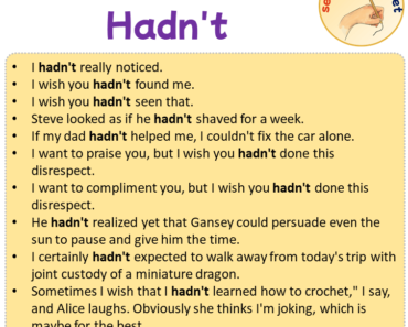 Sentences with Hadn’t, Sentences about Hadn’t