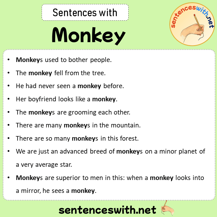 Sentences with Monkey, Sentences about Monkey