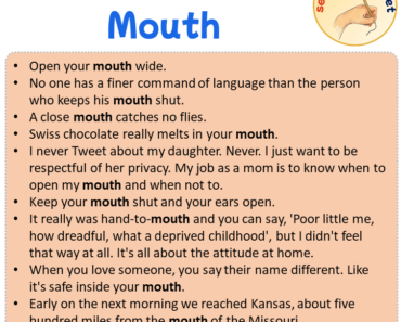Sentences with Mouth, Sentences about Mouth in English