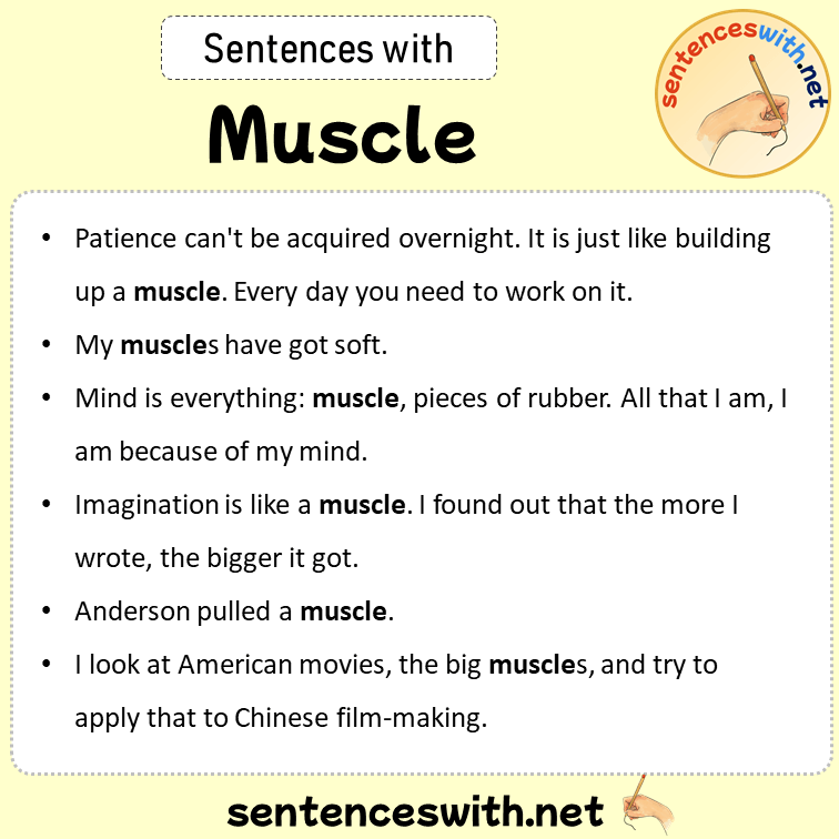 Sentences with Muscle, Sentences about Muscle in English