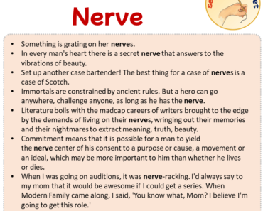 Sentences with Nerve, Sentences about Nerve