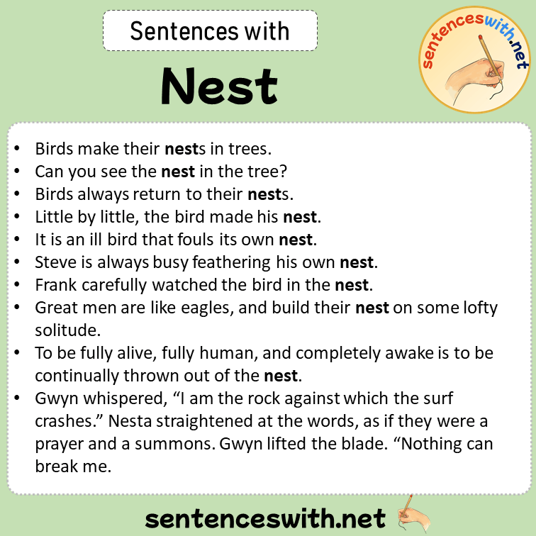 Sentences with Nest, Sentences about Nest