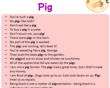 Sentences with Pig, Sentences about Pig