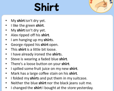 Sentences with Shirt, Sentences about Shirt
