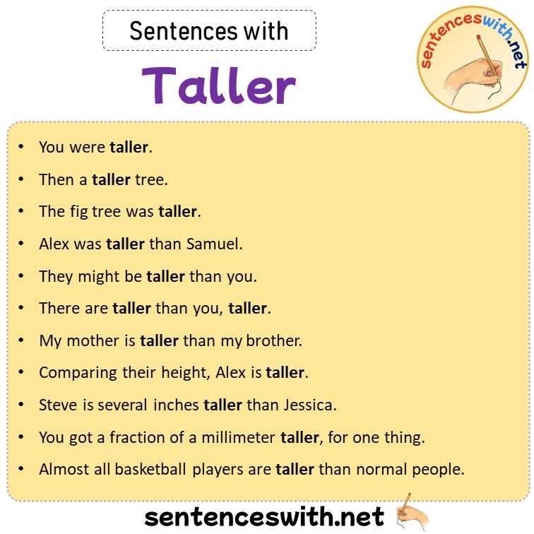 Sentences with Taller, Sentences about Taller