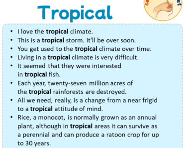 Sentences with Tropical, Sentences about Tropical