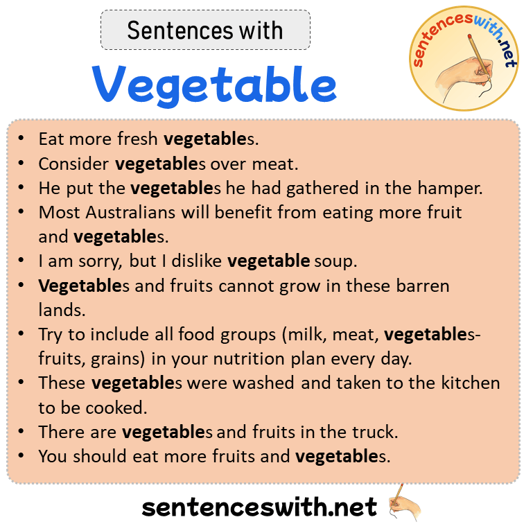 Sentences with Vegetable, Sentences about Vegetable in English