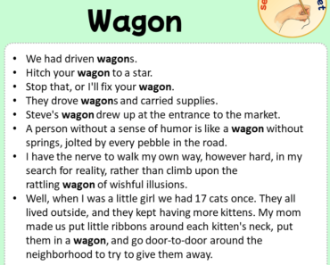 Sentences with Wagon, Sentences about Wagon