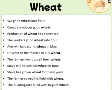 Sentences with Wheat, Sentences about Wheat