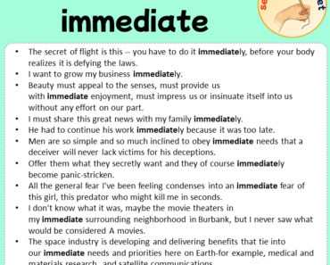 Sentences with immediate, Sentences about immediate in English