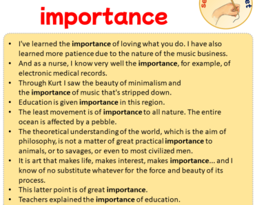 Sentences with importance, Sentences about importance in English