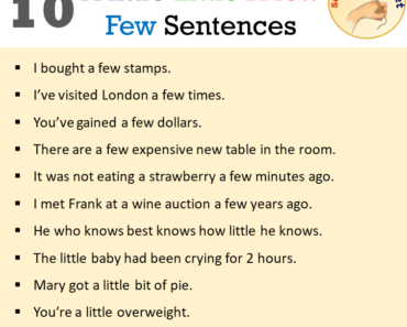 10 A little, Little, A few, Few Sentences Examples