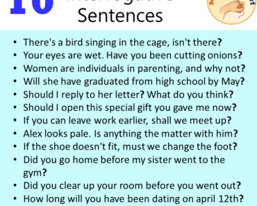 10 Interrogative Sentences Examples, Interrogatives in a Sentence
