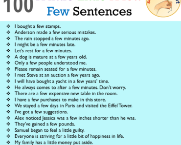 100 A little, Little, A few, Few Sentences Examples