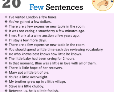 20 A little, Little, A few, Few Sentences Examples