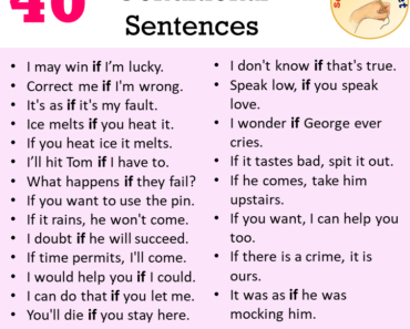 40 Conditional Sentences Examples, Conditionals in a Sentence