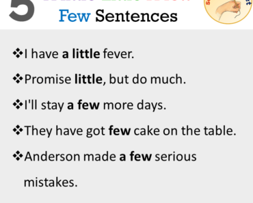 5 A little, Little, A few, Few Sentences Examples