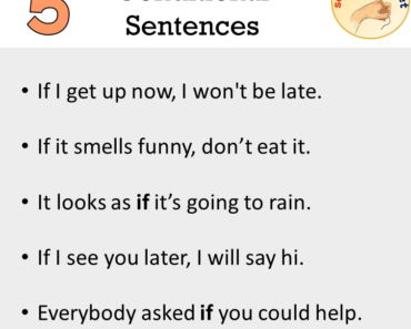 5 Conditional Sentences Examples, Conditionals in a Sentence