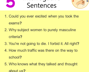 5 Interrogative Sentences Examples, Interrogatives in a Sentence