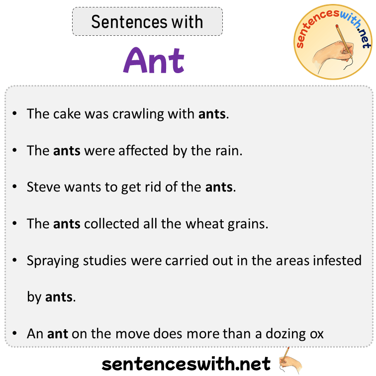 Sentences with Ant, Sentences about Ant
