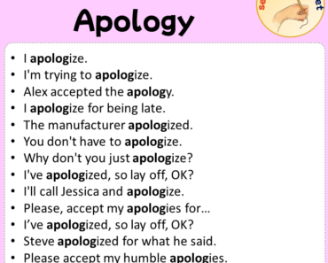 Sentences with Apology, Sentences about Apology