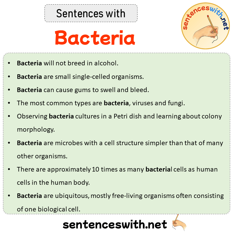 Sentences with Bacteria, Sentences about Bacteria