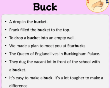 Sentences with Buck, Sentences about Buck