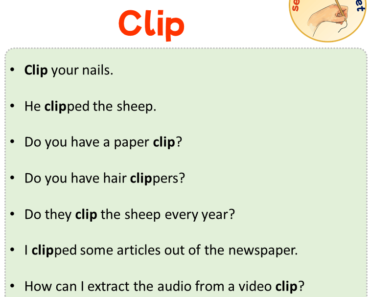 Sentences with Clip, Sentences about Clip